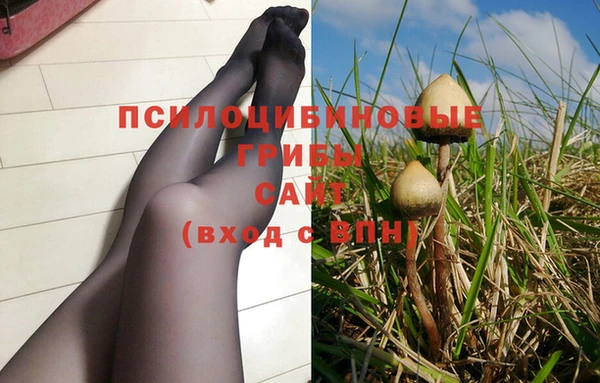 метадон Новозыбков