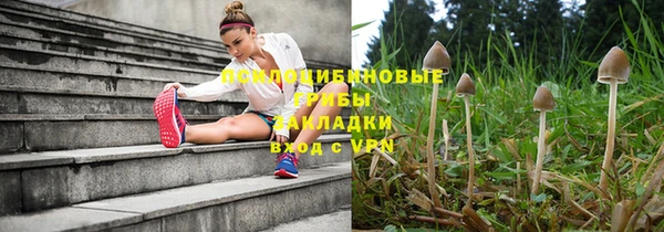 метадон Новозыбков