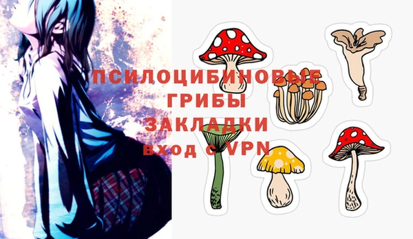 дживик Зеленодольск