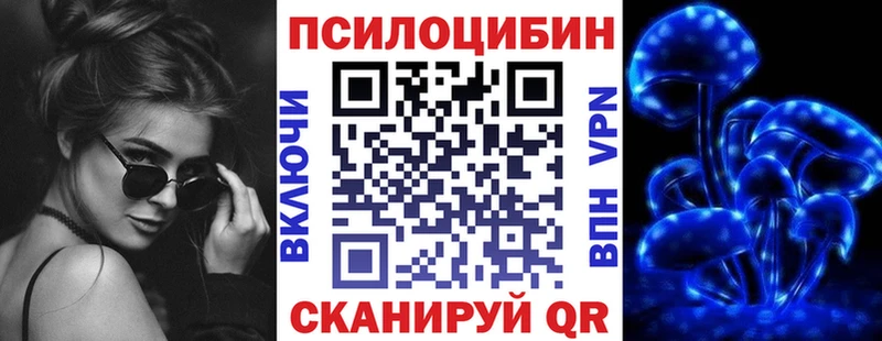 где купить   Ульяновск  Галлюциногенные грибы MAGIC MUSHROOMS 