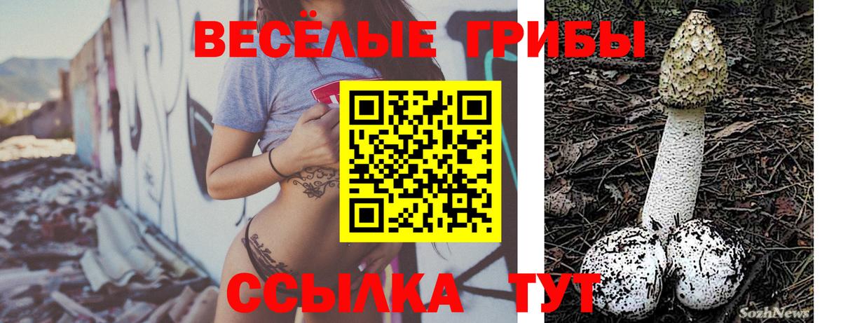 Галлюциногенные грибы Psilocybine cubensis  Галлюциногенные грибы Cubensis  Ульяновск  Вход с VPN 